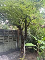 East Coast Avenue (D15), Detached #582356021